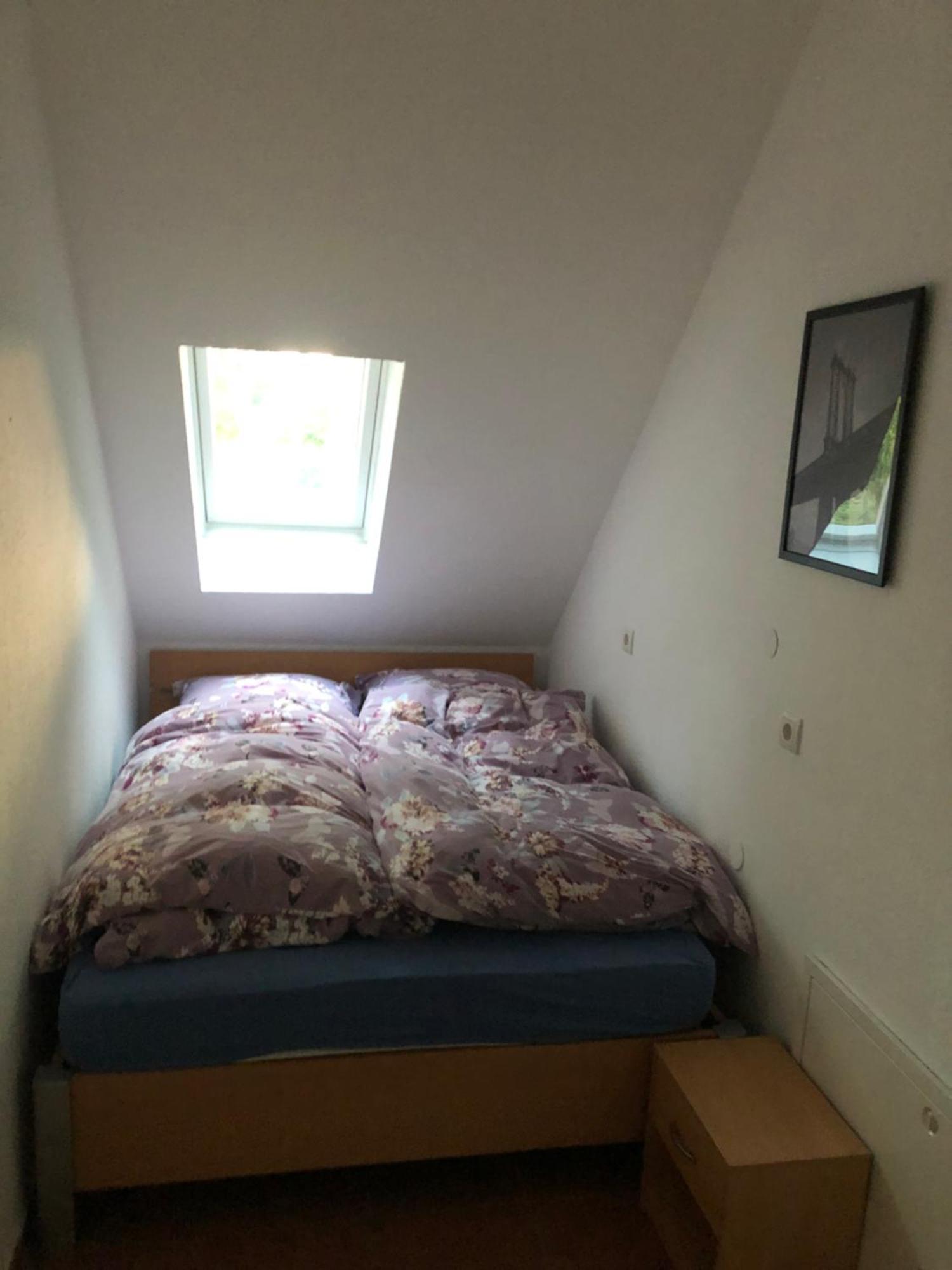 Ferienwohnung Grove Bippen エクステリア 写真
